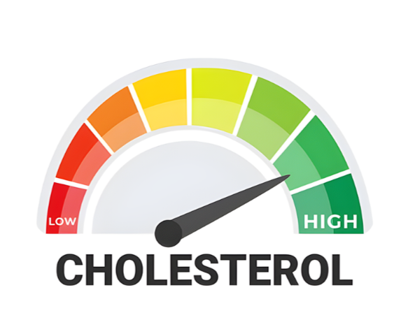 High cholesterol levels are directly linked to heart health issues, providing a substantial risk to cardiovascular health.