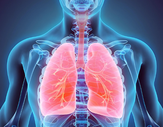 On Auscultation of lungs, these are noticeable in patients with rheumatoid arthritis