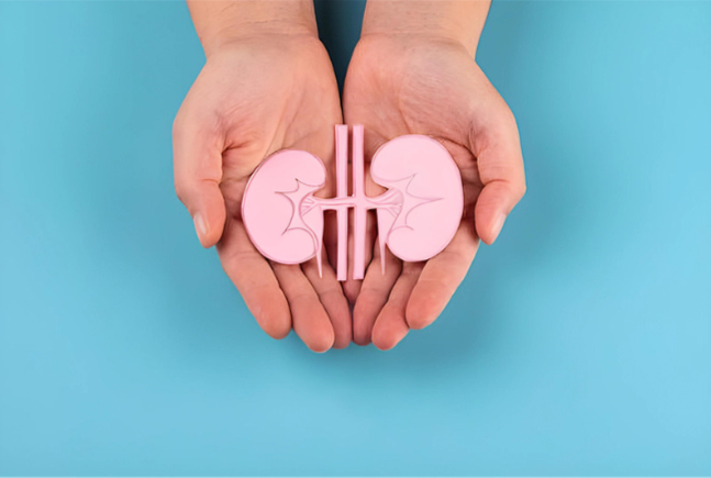 Rheumatoid arthritis (RA) primarily affects the joints, but it can also cause complications with other organs, particularly the kidneys.