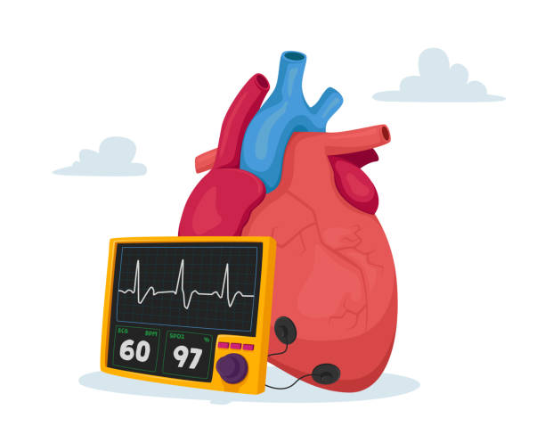 Factors That Affect Heart Rate