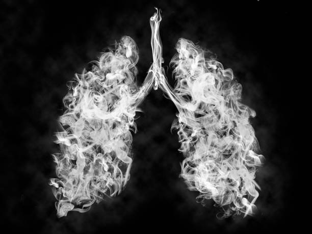 Immediate Effects of Tobacco on the Body