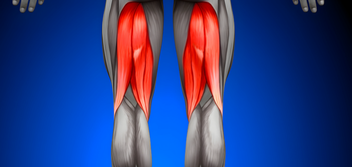 The hamstring muscle group consists of two inner, or medial, muscles