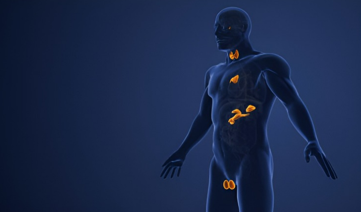 Your treatment will be based on the type of diabetes you have. There are numerous forms of diabetes