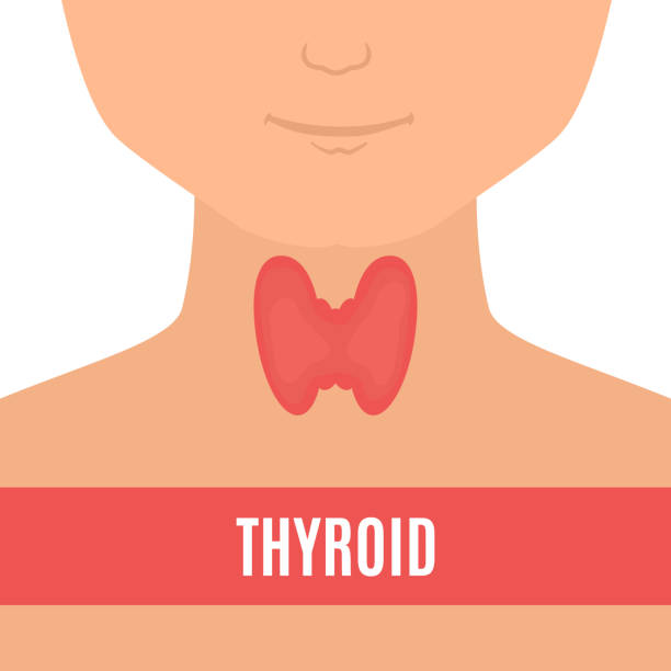Causes of Low Thyroid Levels
