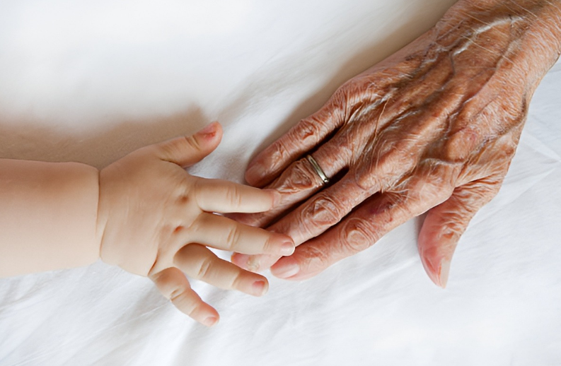 Age has a substantial impact on calorie requirements
