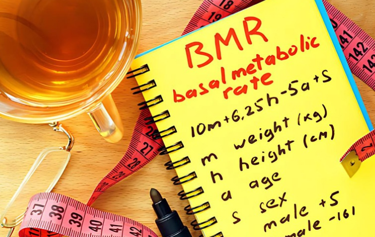 Your basal metabolic rate (BMR) is the number of calories your body needs to function at rest.