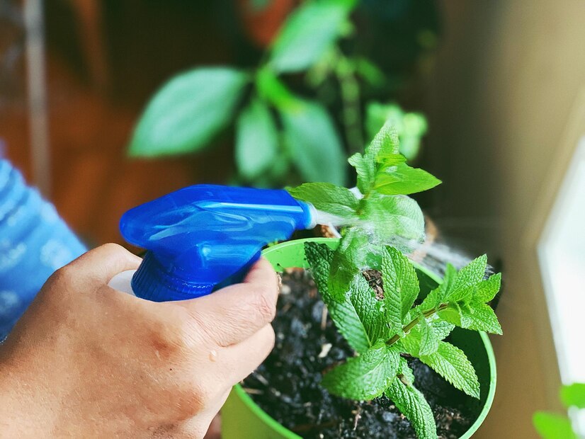 10 Weed-Killing Hacks (No. 8 Is The Ultimate)