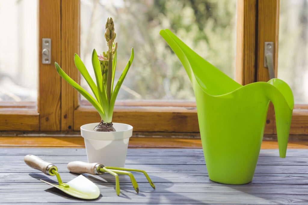 20 Game-Changing Watering Tips for Every Garden